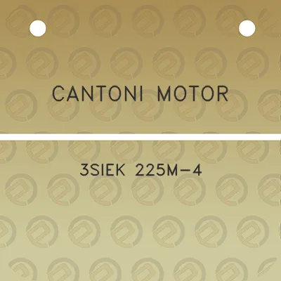 cantoni-motor-3siek-225m-4