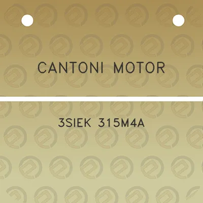 cantoni-motor-3siek-315m4a