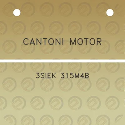 cantoni-motor-3siek-315m4b