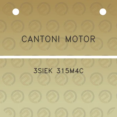 cantoni-motor-3siek-315m4c