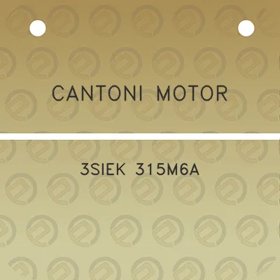 cantoni-motor-3siek-315m6a