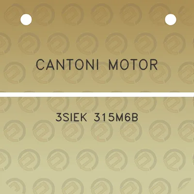 cantoni-motor-3siek-315m6b