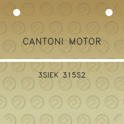 cantoni-motor-3siek-315s2