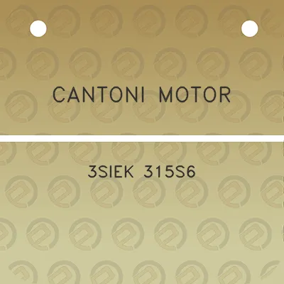 cantoni-motor-3siek-315s6