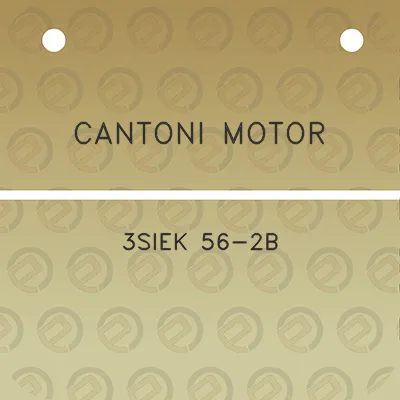 cantoni-motor-3siek-56-2b