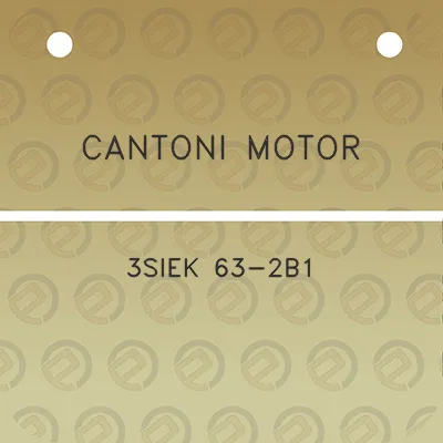 cantoni-motor-3siek-63-2b1