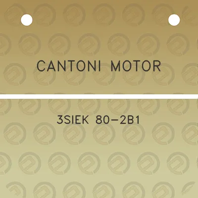 cantoni-motor-3siek-80-2b1