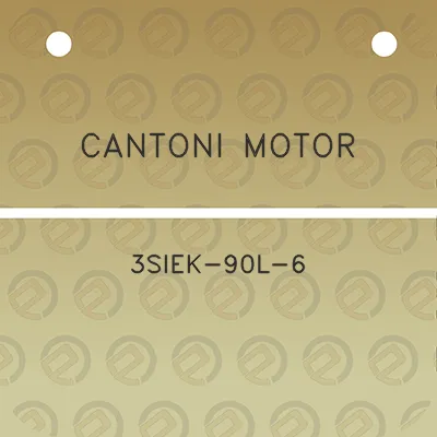 cantoni-motor-3siek-90l-6