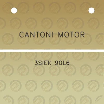 cantoni-motor-3siek-90l6