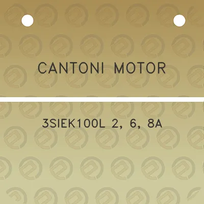 cantoni-motor-3siek100l-2-6-8a