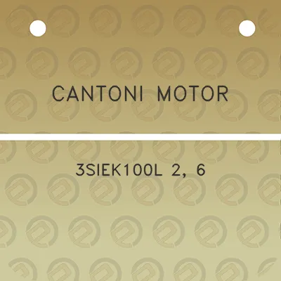 cantoni-motor-3siek100l-2-6