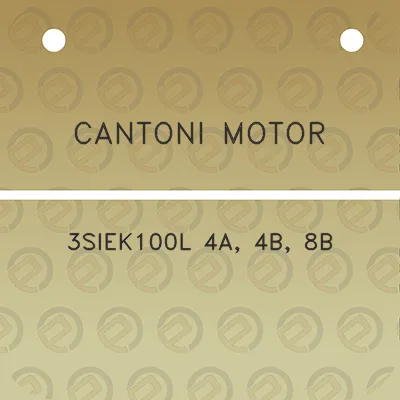 cantoni-motor-3siek100l-4a-4b-8b