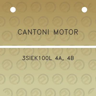 cantoni-motor-3siek100l-4a-4b