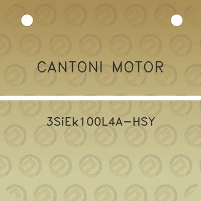 cantoni-motor-3siek100l4a-hsy