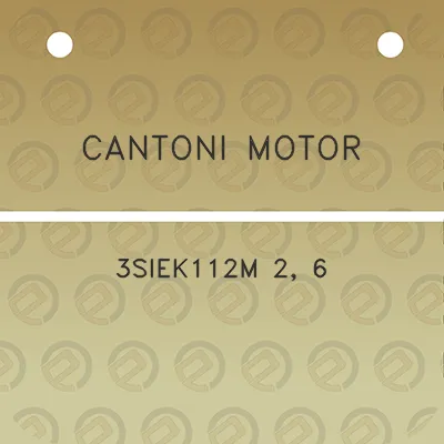 cantoni-motor-3siek112m-2-6