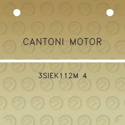 cantoni-motor-3siek112m-4