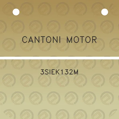 cantoni-motor-3siek132m