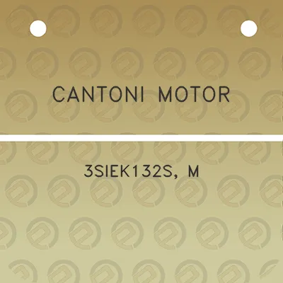 cantoni-motor-3siek132s-m