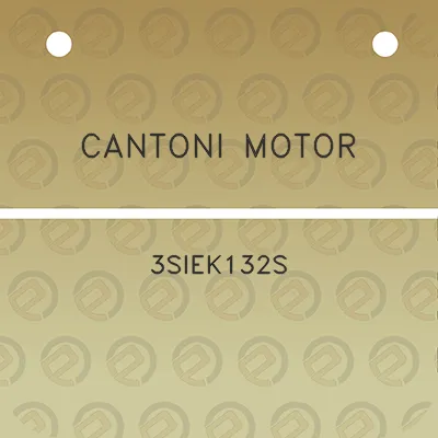 cantoni-motor-3siek132s