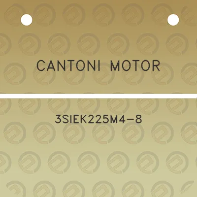 cantoni-motor-3siek225m4-8