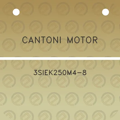 cantoni-motor-3siek250m4-8