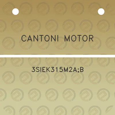 cantoni-motor-3siek315m2ab