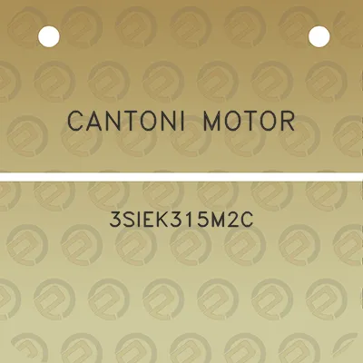 cantoni-motor-3siek315m2c