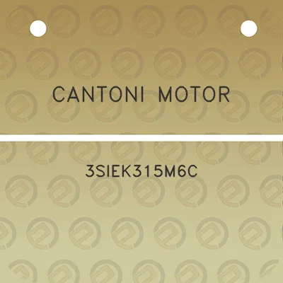 cantoni-motor-3siek315m6c