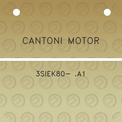 cantoni-motor-3siek80-a1