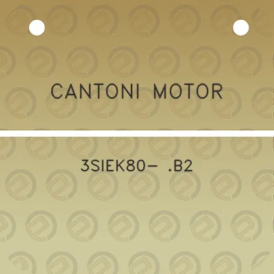 cantoni-motor-3siek80-b2