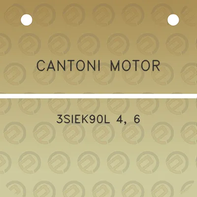 cantoni-motor-3siek90l-4-6