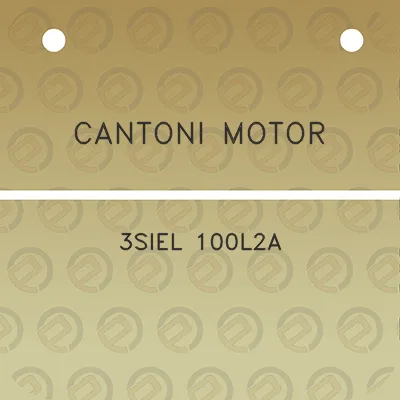 cantoni-motor-3siel-100l2a