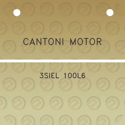 cantoni-motor-3siel-100l6