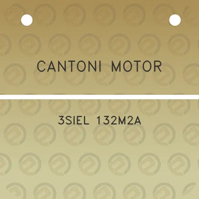 cantoni-motor-3siel-132m2a