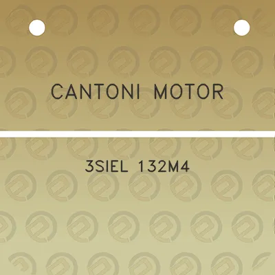 cantoni-motor-3siel-132m4