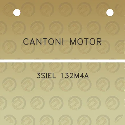 cantoni-motor-3siel-132m4a