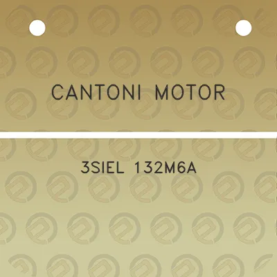 cantoni-motor-3siel-132m6a