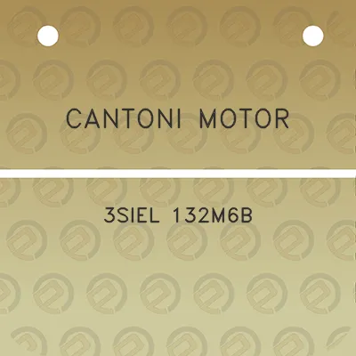 cantoni-motor-3siel-132m6b