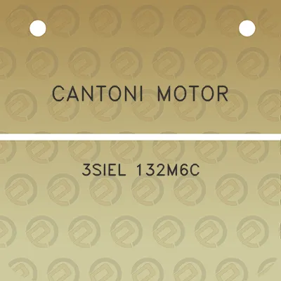 cantoni-motor-3siel-132m6c