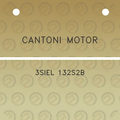 cantoni-motor-3siel-132s2b