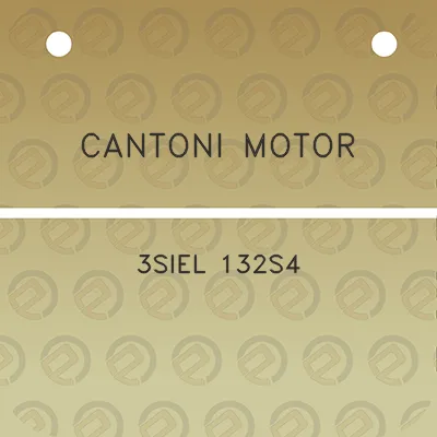 cantoni-motor-3siel-132s4