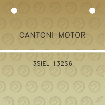 cantoni-motor-3siel-132s6