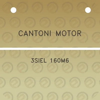 cantoni-motor-3siel-160m6