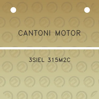 cantoni-motor-3siel-315m2c