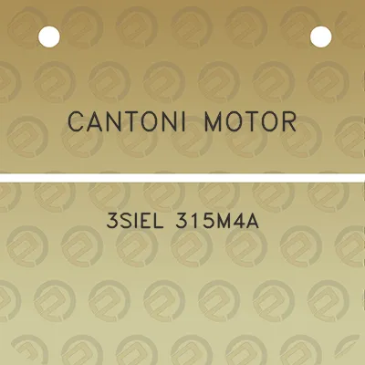 cantoni-motor-3siel-315m4a