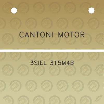 cantoni-motor-3siel-315m4b