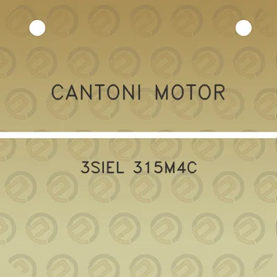 cantoni-motor-3siel-315m4c