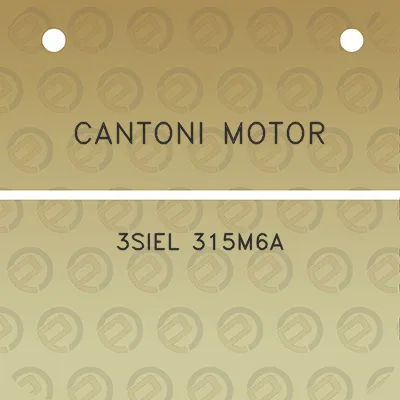 cantoni-motor-3siel-315m6a