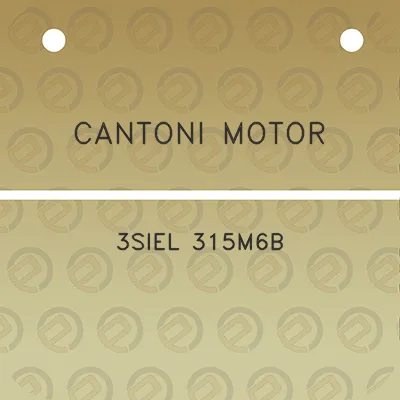 cantoni-motor-3siel-315m6b