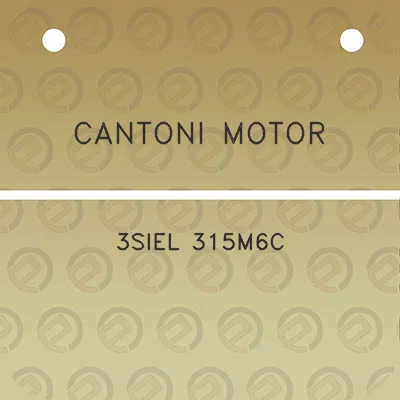 cantoni-motor-3siel-315m6c